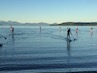 SUPs on Lake Taupo